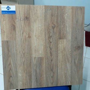 Gạch lát nền giả gỗ 60x60 5601