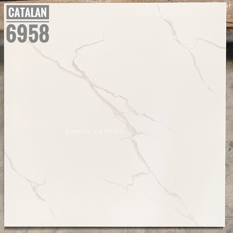 Gạch lát nền catalan 60x60 